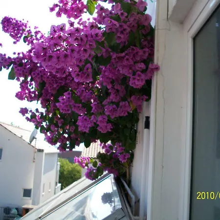 Surlin ゲストハウス フヴァル