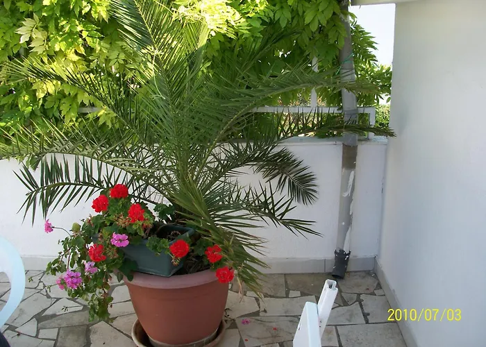 Gostinjska kuća Surlin 3*