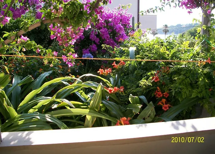 Pensjonat Surlin Hvar Town