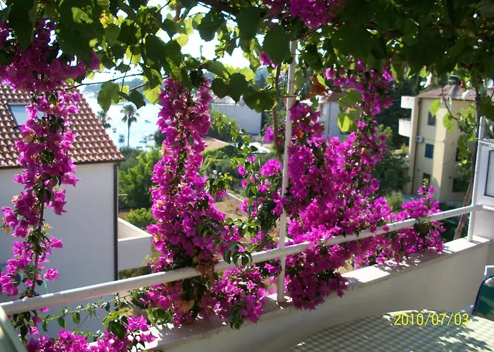 בית הארחה Surlin