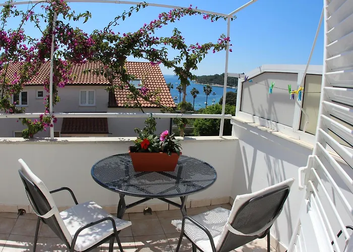 בית הארחה Surlin 3*