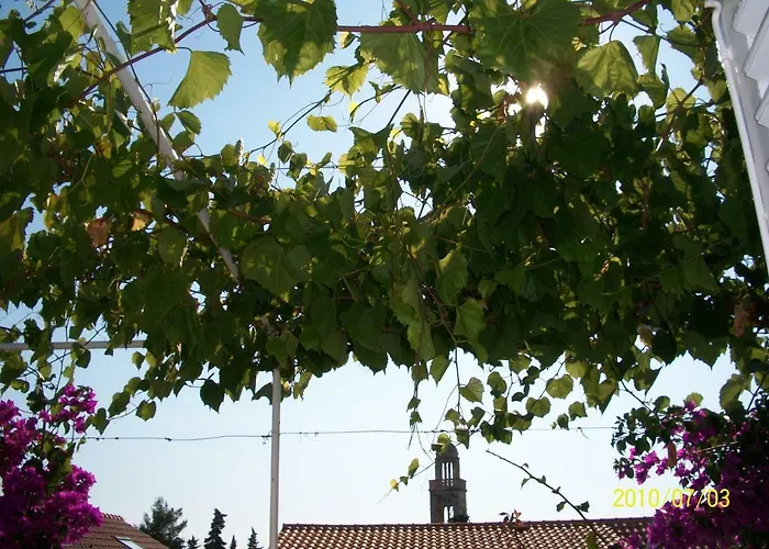 Surlin בית הארחה