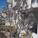 Surlin Hvar Town