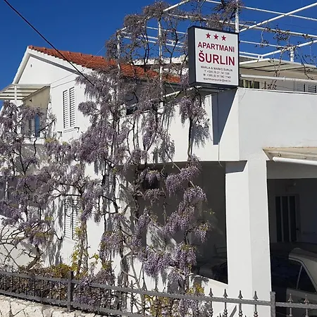 Guest house Surlin