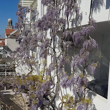 Surlin Hvar Town