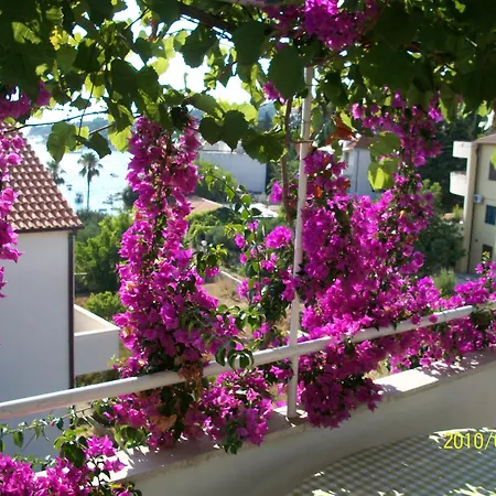 Guest house Surlin