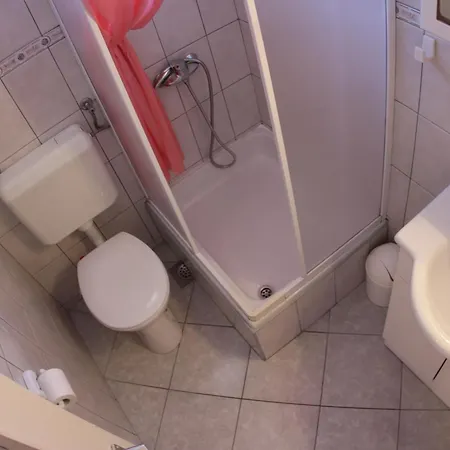 Guest house Surlin