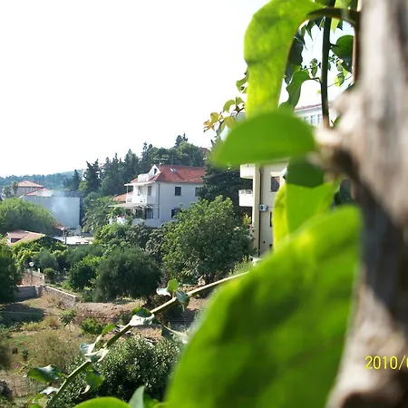 Guest house Surlin