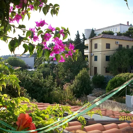 Guest house Surlin