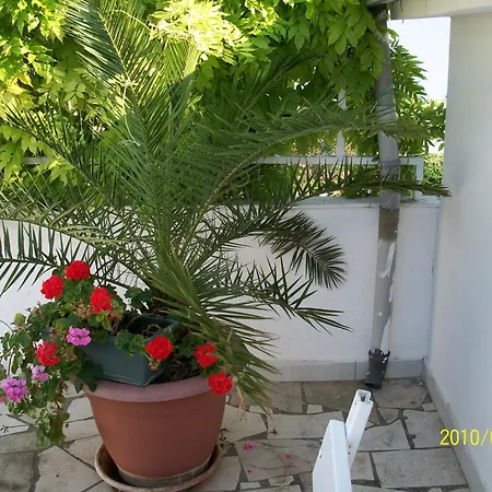 Guest house Surlin *