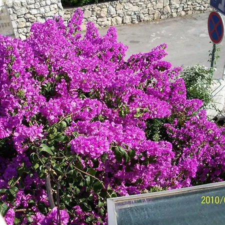 Guest house Surlin