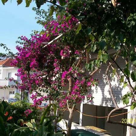 Surlin Hvar Town
