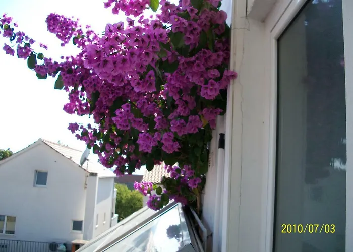 Surlin Gasthuis Hvar Town